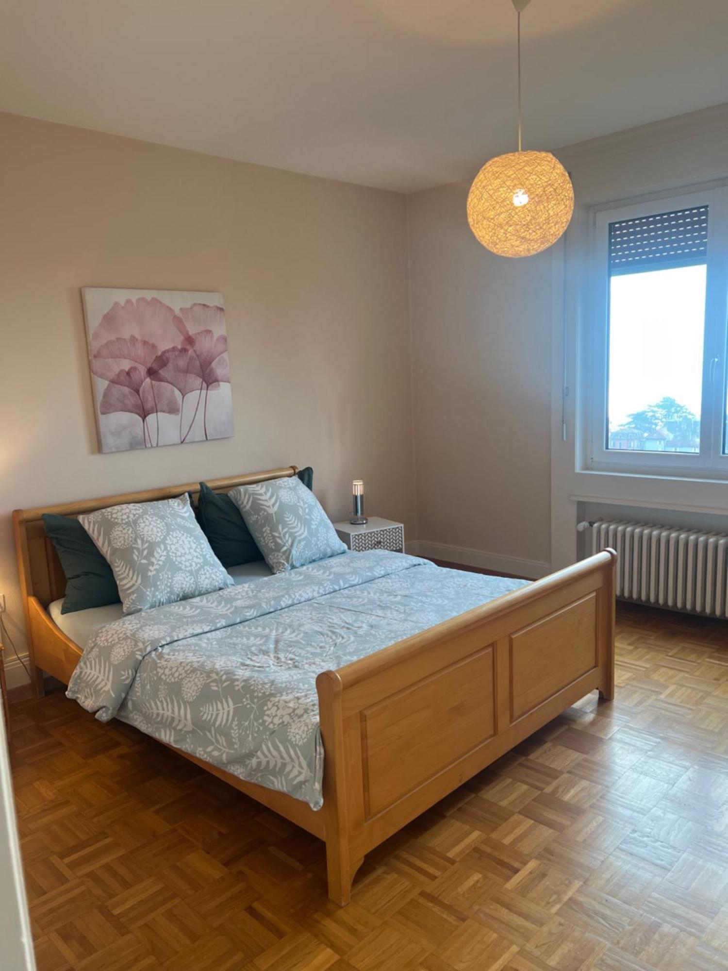 Apartmán Alpes 54